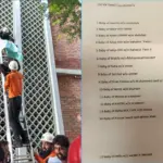 ان کے نام بھی نہیں رکھے گئے تھے، پمز میں جاں بحق بچوں کی فہرست