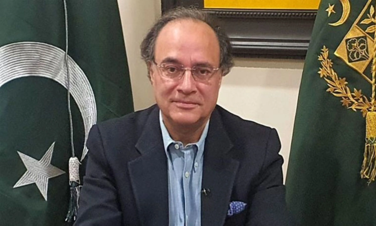 یورو بانڈ، عالمی سرمایہ کاروں کا پاکستان پر اعتماد بحال ہونے کا ثبوت ہے: وزیر خزانہ