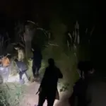 اسلام آباد کے علاقے گلبرگ گرینز میں بنگال ٹائیگر اور دو بچوں کی موجودگی پر شدید خوف و ہراس