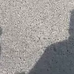 اسلام آباد میں انسان نما درندے نے اپنی 3 برس کی سالی زیادتی کے بعد قتل کردی