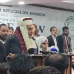 نئے صوبوں کیلئے آئین کی شق 239(4) ختم کرنے کیلئے ووٹ مانگا گیا، پی ٹی آئی دعویٰ