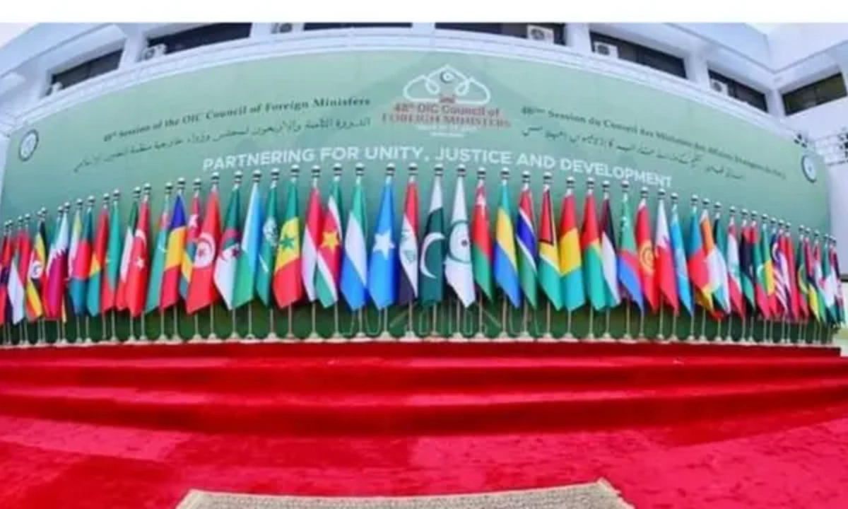 مسلم دنیا کو حوثیوں کی سرکوبی کیلیے مضبوط موقف اپنانا ہوگا، او آئی سی