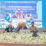 پاکستان، سعودی عرب اور ترکیہ کا مملکت میں فوری فوجی دستے اور دفاعی صلاحیتیں تعینات کرنے پر اتفاق