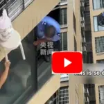 عمارت کی 12ویں منزل کی کھڑکی سے لٹکتی بچی، خوفناک ویڈیو نے دل دہلا دیے