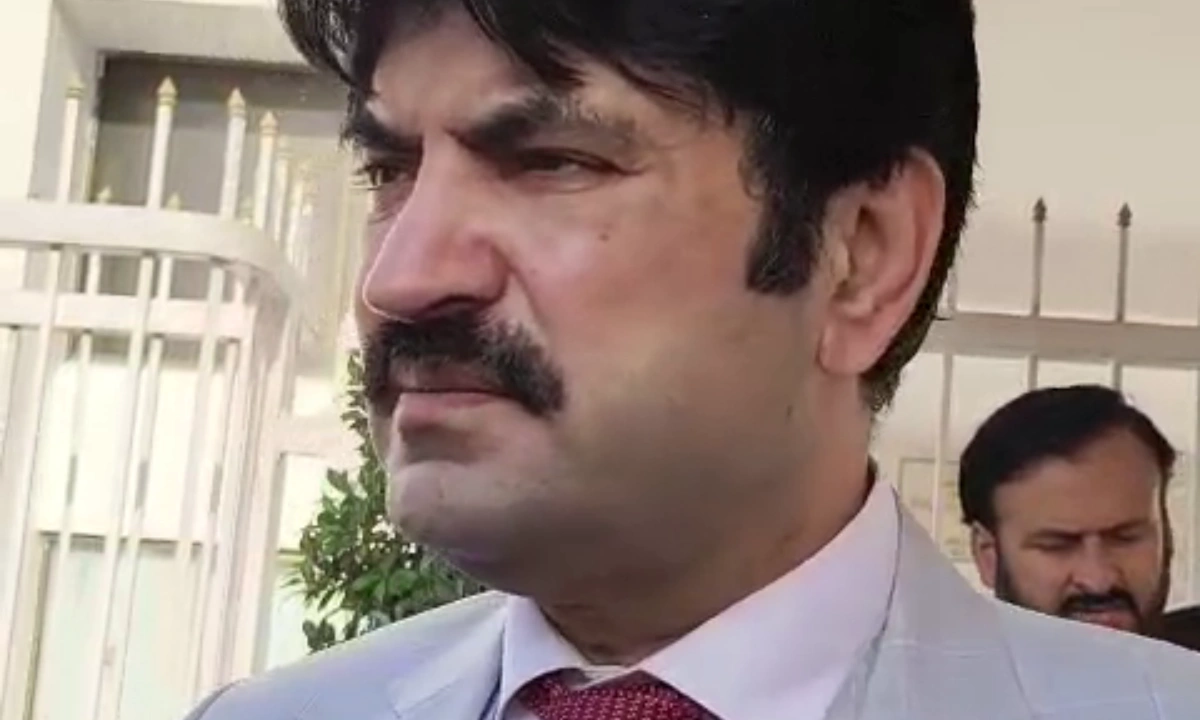 پی ٹی آئی میں ’مارٹونگے‘ گالم گلوچ کرتے ہیں، شیرافضل نے نئی اصطلاح متعارف کرادی
